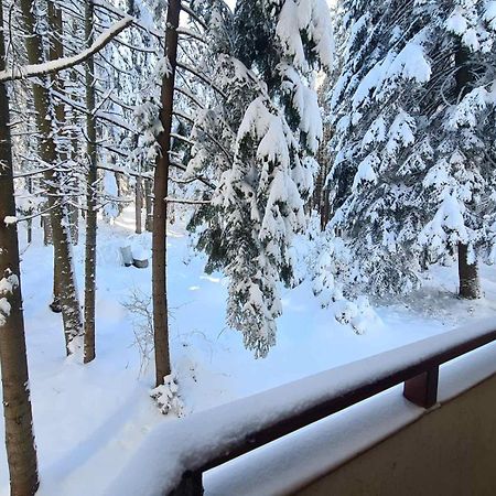 Forest Apartment/ Villa Park Borovets Exteriör bild