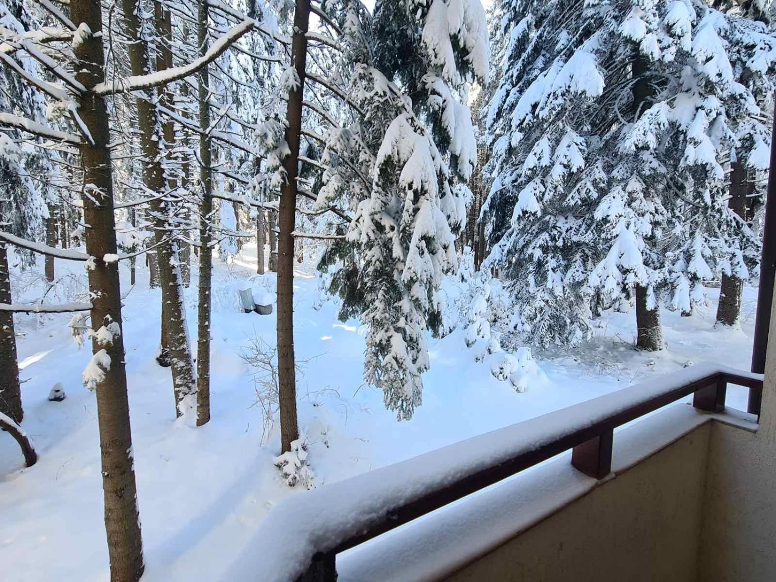 Forest Apartment/ Villa Park Borovets Exteriör bild